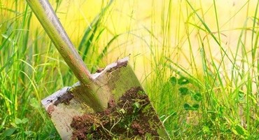 Nachsaat und Rasenreparatur