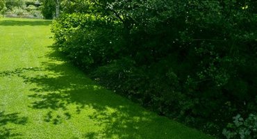 Rasensamen, Rasensaat und Grassamen kaufen Rasensamenkaufen.de