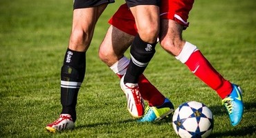 Sport- und Spielrasen