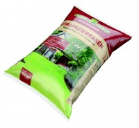 Greenfield Strapazierrasen Rasensaat 1kg