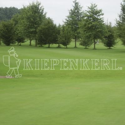 Produktbild von Kiepenkerl DSV RSM 4.4.2 Golfrasen Spielbahn mit Grünfläche und Bäumen im Hintergrund sowie Markenlogo.