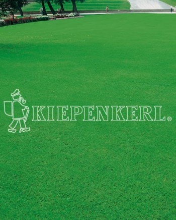 Produktbild Kiepenkerl DSV RSM 1.1.1 Zierrasen Edel tiefschnittverträglich mit Markenlogo auf sattgrünem Rasen.