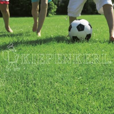 Produktbild des Kiepenkerl RSM 2.3 Gebrauchsrasen mit Poa supina für Schattenlagen zeigt einen üppigen grünen Rasen und einen Fußball, im Hintergrund sind teilweise die Beine von zwei Personen sichtbar.