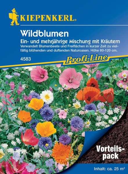 Kiepenkerl reine Wildblumen für ca 25m²