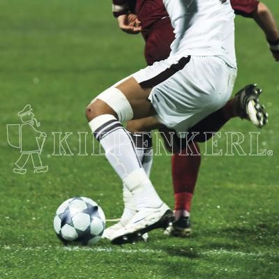 Kiepenkerl RSM 3.2 Sportrasen Regeneration - mit 10% Poa pratensis