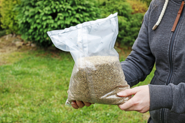 Produktimage von Einzelsaat Festuca rubra trichophylla Haarblättriger Rot-Schwingel 1kg in durchsichtiger Verpackung gehalten von einer Person im Garten.