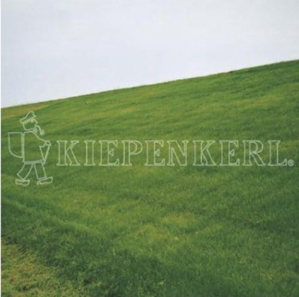 Kiepenkerl Deponieversiegelung DSV 890 10 kg