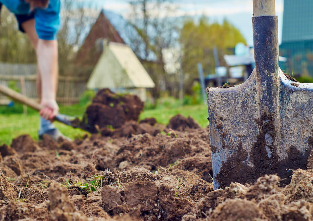 Pflege der Gartenbeete — Stockfoto