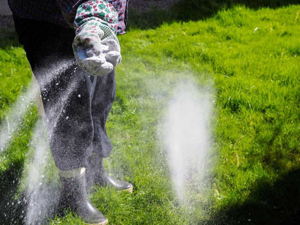 Rasen pflegen und düngen im Frühjahr