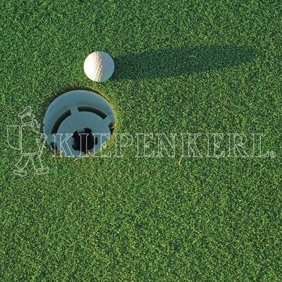 Produktbild von Kiepenkerl DSV RSM 4.1.3 Golfrasen mit Golfball neben einem Loch auf grünem Rasen mit Kiepenkerl Logo im Hintergrund