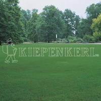 Kiepenkerl RSM 2.2.2 Gebrauchsrasen extreme Trockenlagen