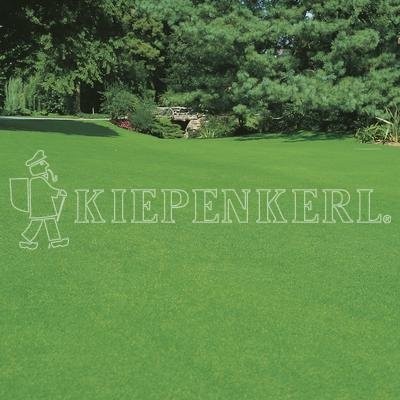 Produktbild von Kiepenkerl RSM 2.2.1 Gebrauchsrasen Trockenrasen zeigt eine gepflegte grüne Rasenfläche mit dem Firmenlogo im Vordergrund.