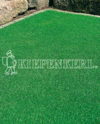 Produktbild von Kiepenkerl DSV RSM 1.1.2 Zierrasen Fein tiefschnittverträglich mit dichtem grünen Rasen und Logo auf Rasenfläche.