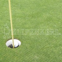 Produktabbildung von Kiepenkerl Golfrasen Masters Fairway 445 zeigt dicht gewachsenen Rasen mit einem Golfeinloch und einer Fahnenstange.