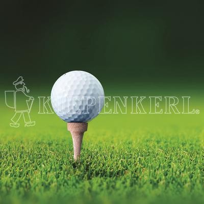 Produktbild von Kiepenkerl DSV RSM 4.3 Golfrasen Abschlag mit einem Golfball auf einem Tee vor grünem Rasenhintergrund samt Logo.