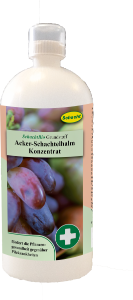 Schacht Grundstoff Acker-Schachtelhalm Konzentrat 1l