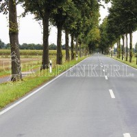 Kiepenkerl Straßenbegleitgrün DSV 820 10 kg