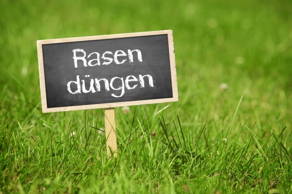 rasen-duengen