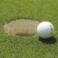 Produktbild von Kiepenkerl DSV RSM 4.1.2 Golfrasen Grün mit einem Golfball nahe einem Loch auf der Grünfläche und dem Firmenlogo in der Ecke.