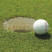 Kiepenkerl DSV RSM 4.1.2 Golfrasen Grün