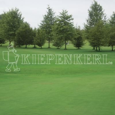 Produktbild von Kiepenkerl DSV 416 Golfrasen Grün Nachsaat mit einer Rasenfläche und mehreren Bäumen im Hintergrund und dem Kiepenkerl-Logo im Vordergrund.