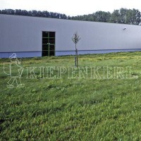 Produktbild von Kiepenkerl DSV RSM 7.1.2 Landschaftsrasen Standard mit Kräutern mit einer Rasenfläche im Vordergrund und einem Gebäude im Hintergrund.