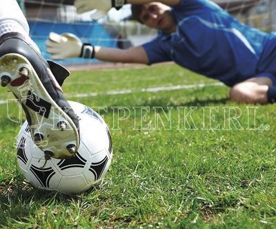 Kiepenkerl RSM 3.2 Profi Sportrasen Regeneration ohne Poa pratensis
