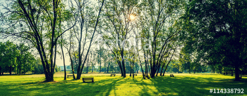 Landschaftsrasen Rasensamen für Park und pflegearme Gärten günstig kaufen