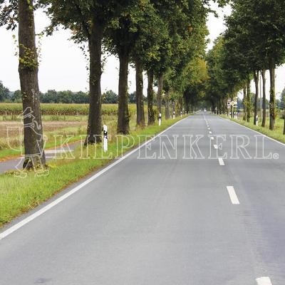 Produktbild von Kiepenkerl Straßenbegleitgrün DSV 820 zeigt eine Landstraße umgeben von Bäumen mit dem Markennamen Kiepenkerl im Vordergrund.