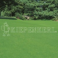 Produktbild von Kiepenkerl RSM 2.2.1 Gebrauchsrasen Trockenrasen zeigt eine gepflegte grüne Rasenfläche mit dem Firmenlogo im Vordergrund.