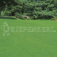 Kiepenkerl RSM 2.2.1 Gebrauchsrasen Trockenrasen