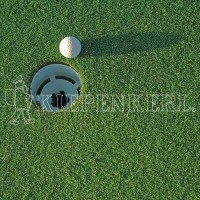 Kiepenkerl DSV RSM 4.1.3 Golfrasen Grün