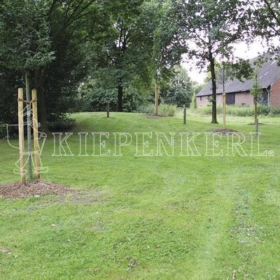 Kiepenkerl RSM 7.2.1 Landschaftsrasen Trockenlagen