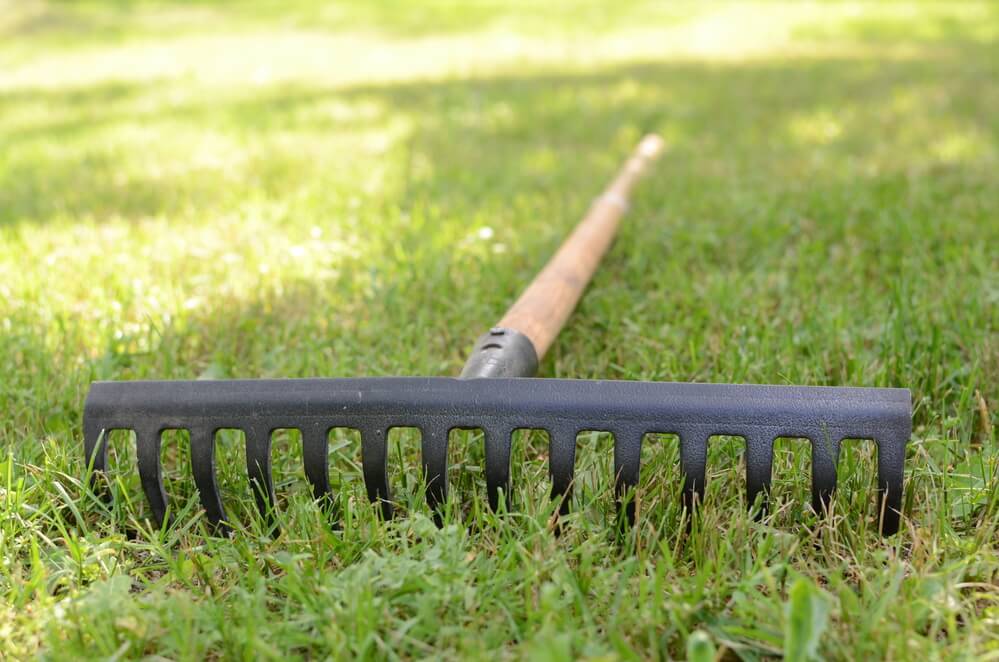 Harke auf Gras liegend — Stockfoto