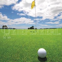 Produktbild von Kiepenkerl DSV RSM 4.1.1 Golfrasen Grün mit Golfball im Vordergrund, Fahne im Hintergrund und klar blauem Himmel.