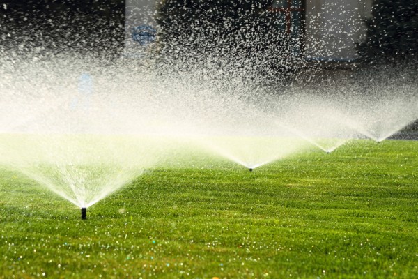 rasen-sprengen-im-sommer